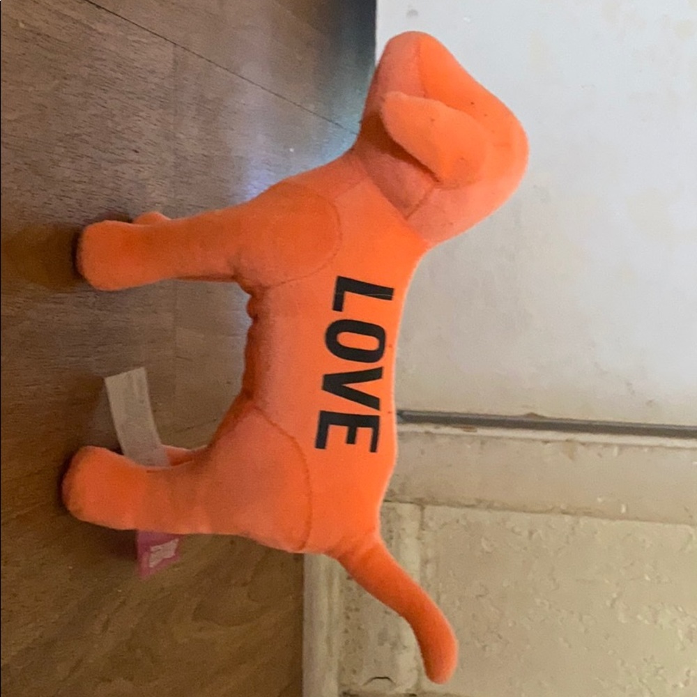 Victoria secret dog